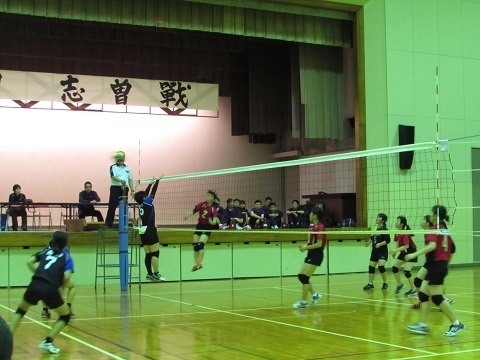 IMG_9707mini.jpg