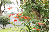 hime15071602.jpg